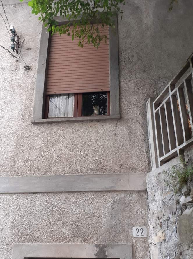 116909515_292902458477844_6883792964481353935_n