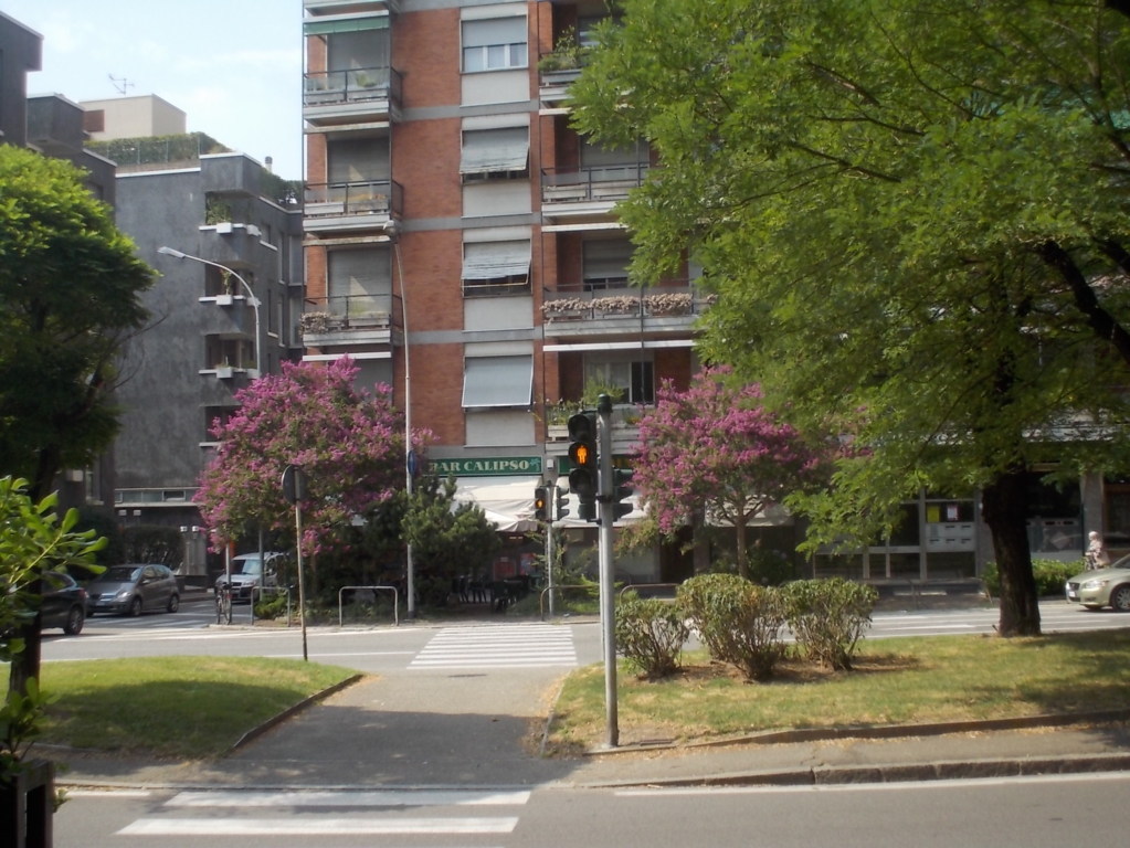 DSCN3724 (FILEminimizer)