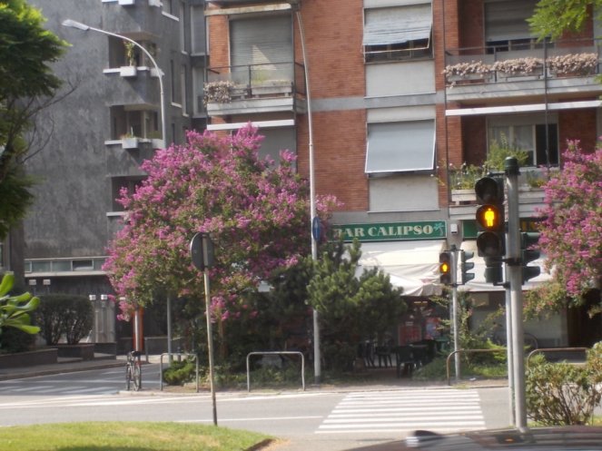 DSCN3725 (FILEminimizer)