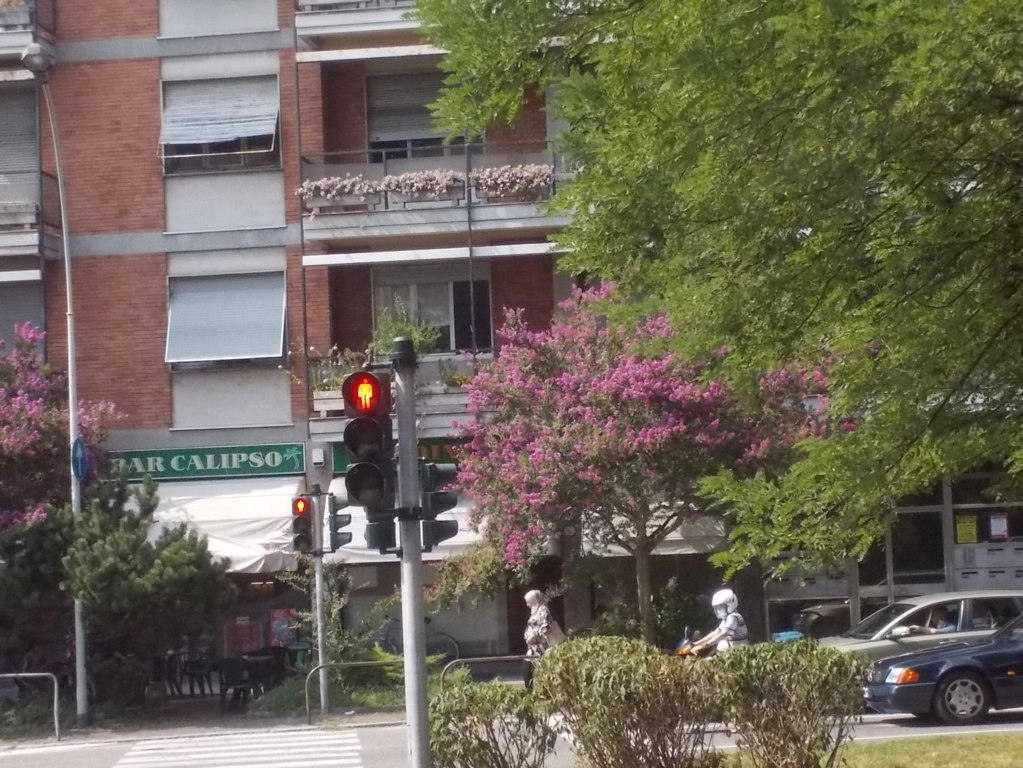 DSCN3726 (FILEminimizer)