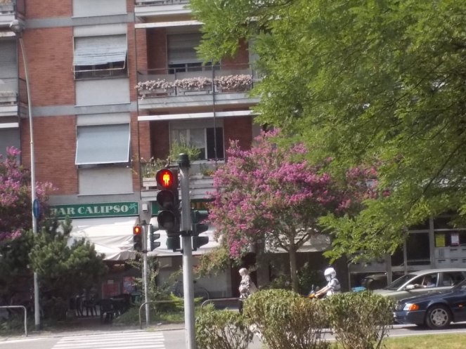 DSCN3726 (FILEminimizer)