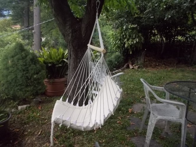 DSCN3737 (FILEminimizer)