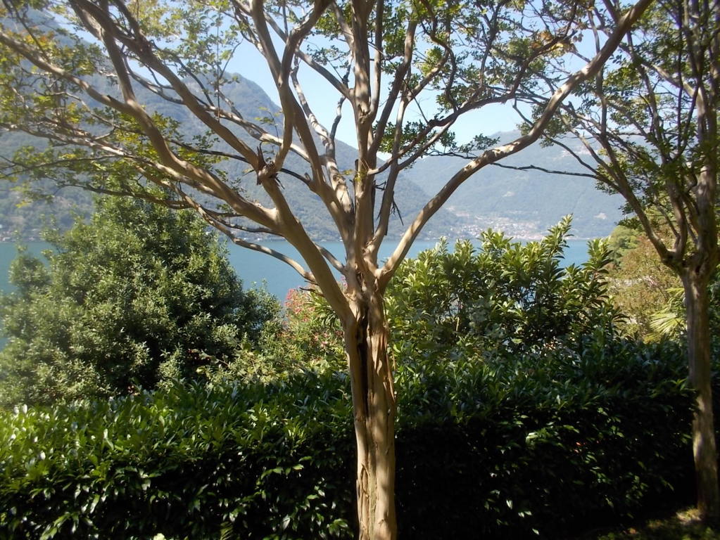 DSCN3742 (FILEminimizer)