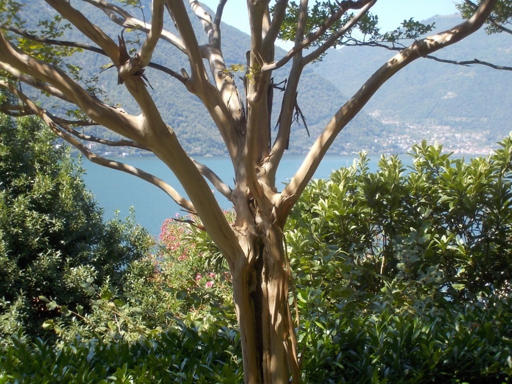 DSCN3743 (FILEminimizer)