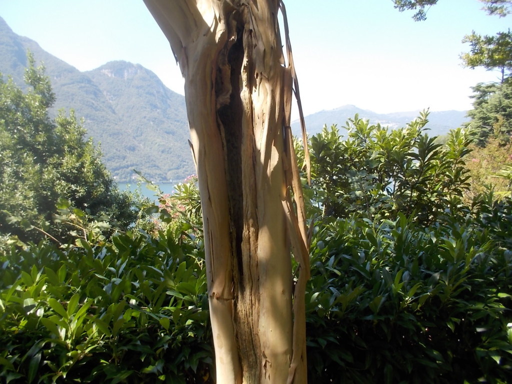 DSCN3744 (FILEminimizer)