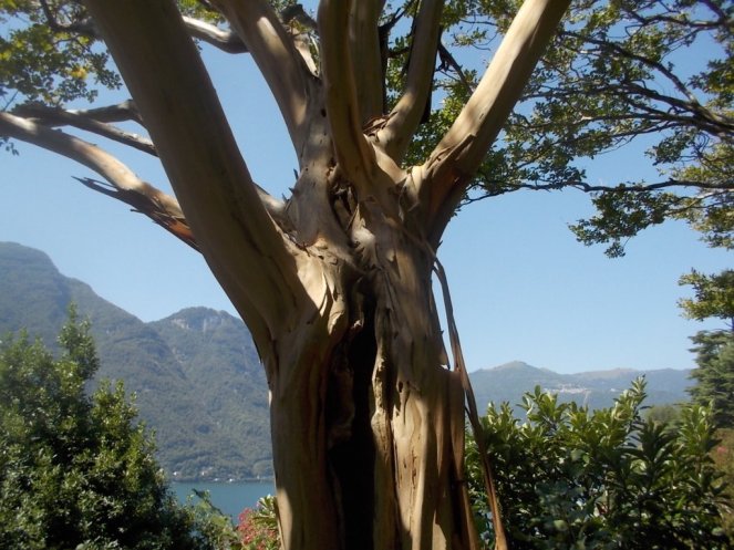 DSCN3745 (FILEminimizer)