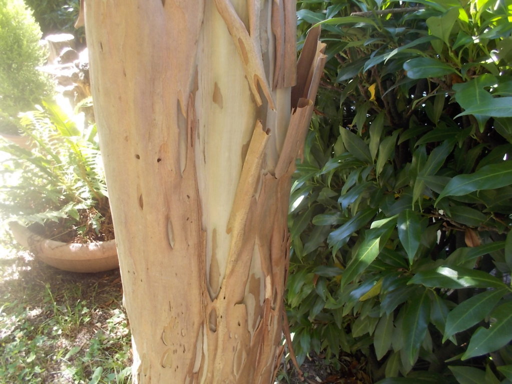 DSCN3747 (FILEminimizer)