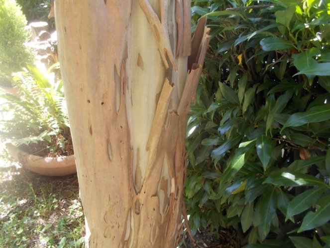 DSCN3747 (FILEminimizer)