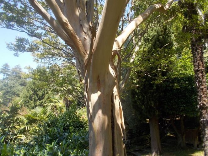 DSCN3748 (FILEminimizer)