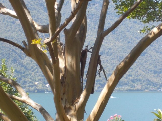 DSCN3749 (FILEminimizer)