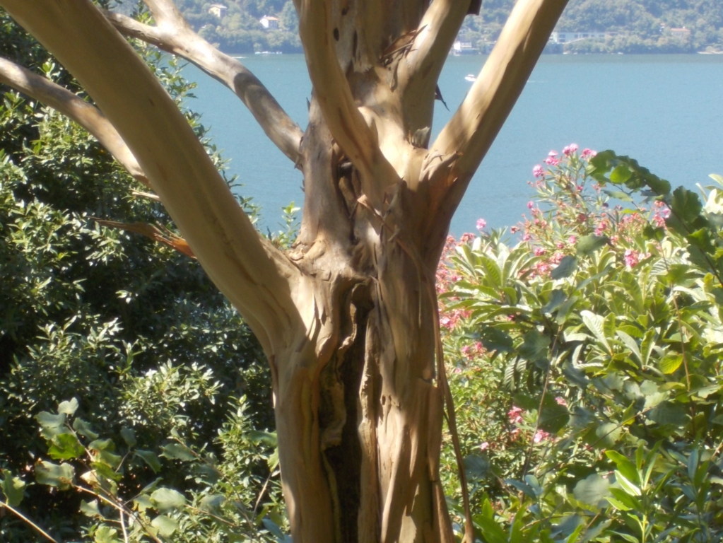 DSCN3750 (FILEminimizer)