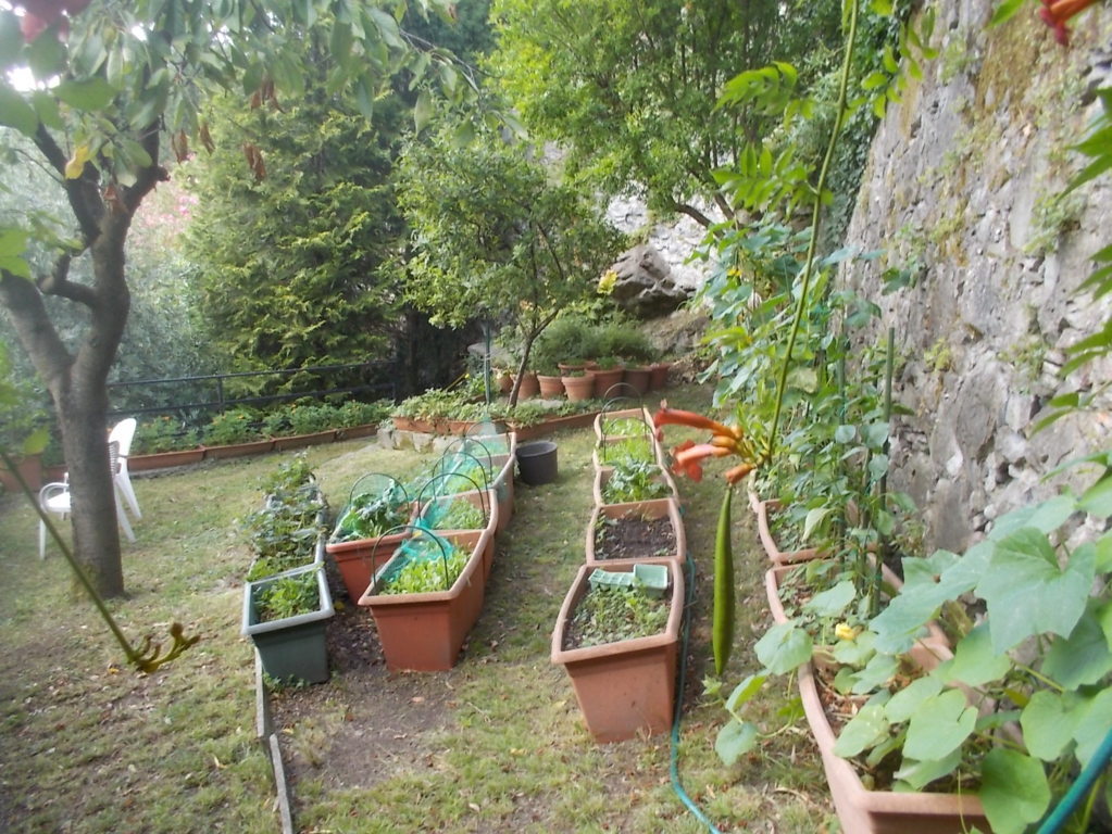 DSCN3752 (FILEminimizer)