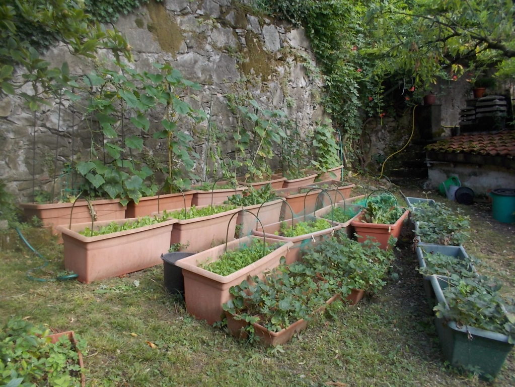 DSCN3753 (FILEminimizer)