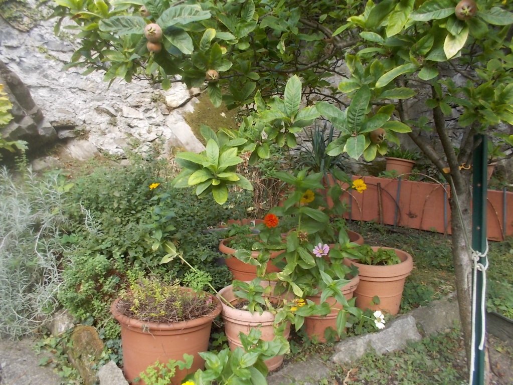 DSCN3754 (FILEminimizer)