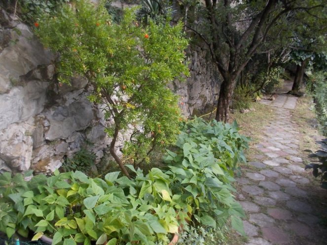 DSCN3757 (FILEminimizer)