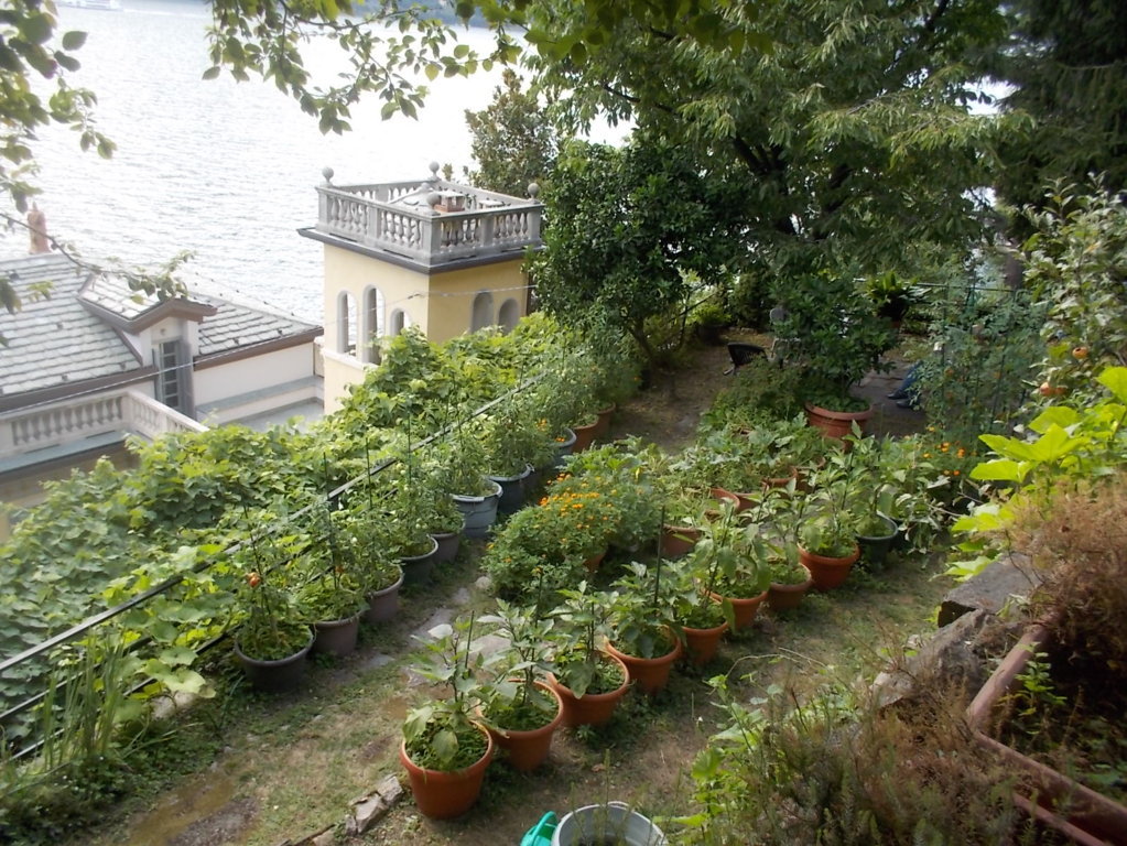 DSCN3758 (FILEminimizer)