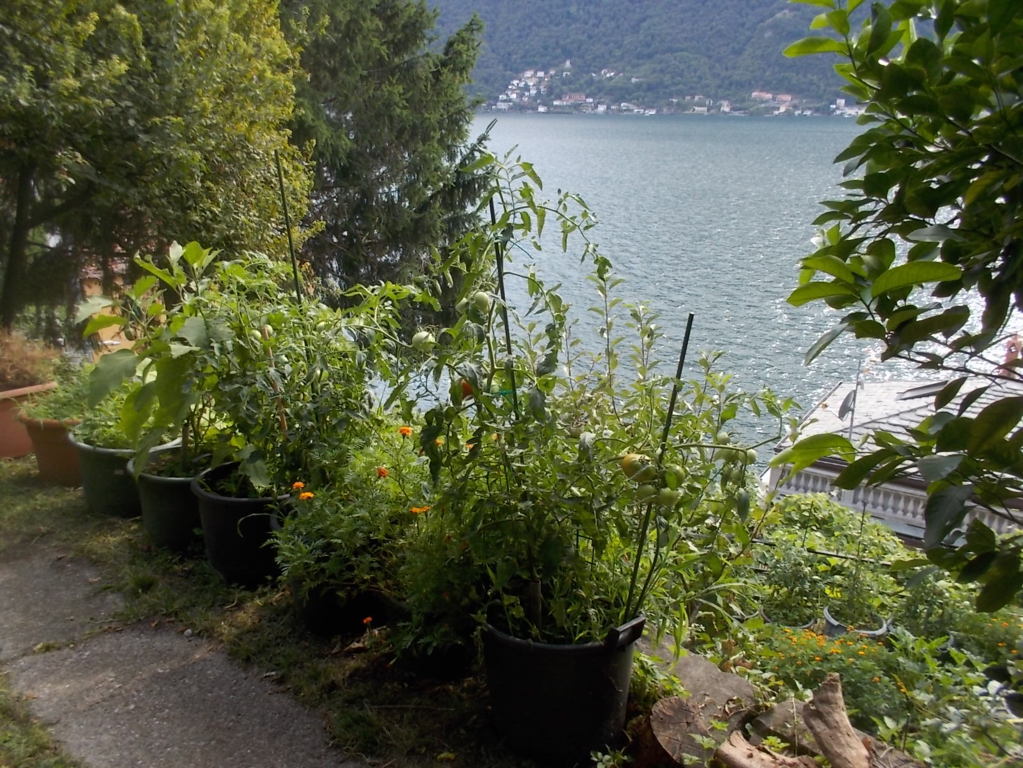 DSCN3759 (FILEminimizer)