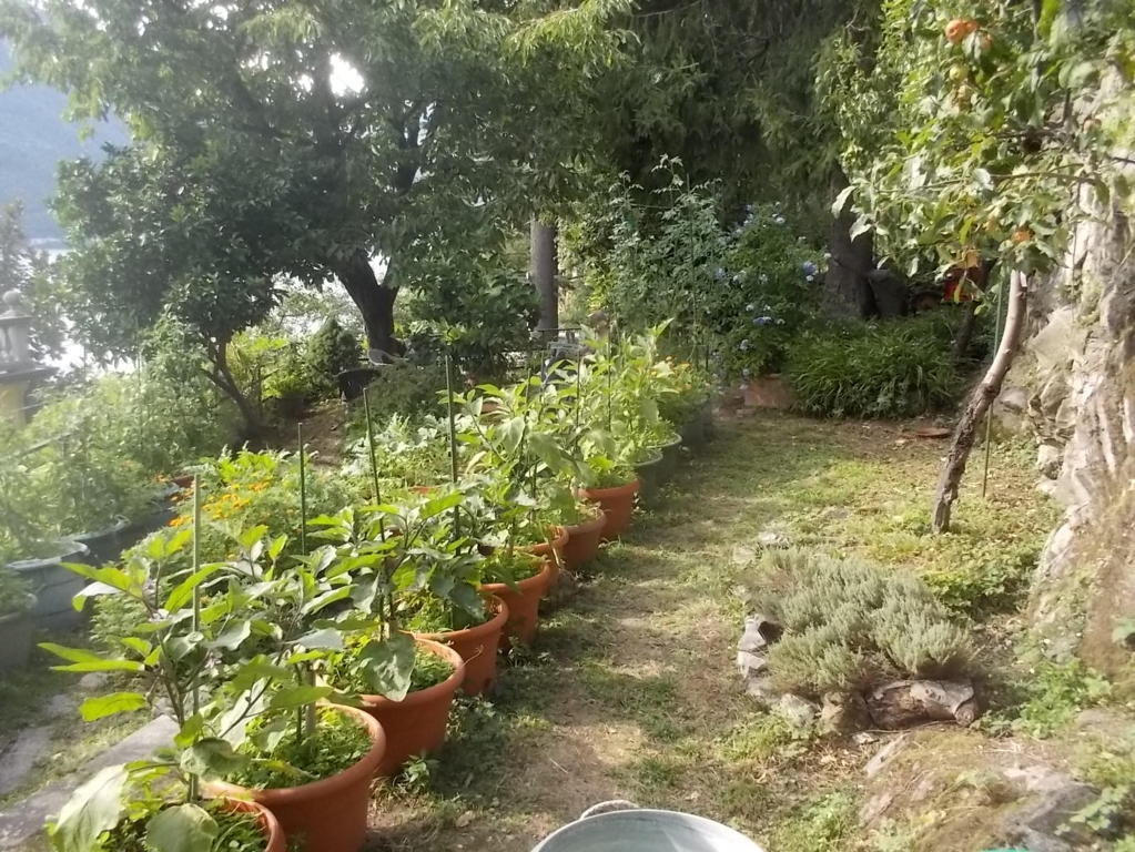 DSCN3760 (FILEminimizer)