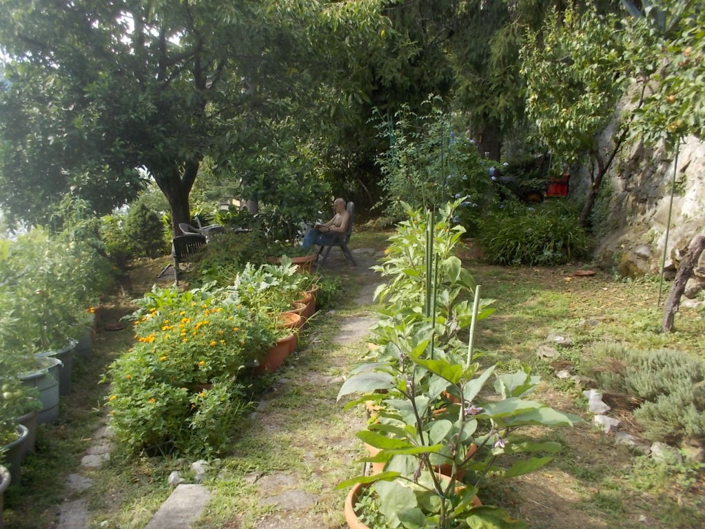 DSCN3761 (FILEminimizer)