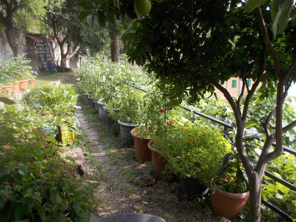 DSCN3763 (FILEminimizer)