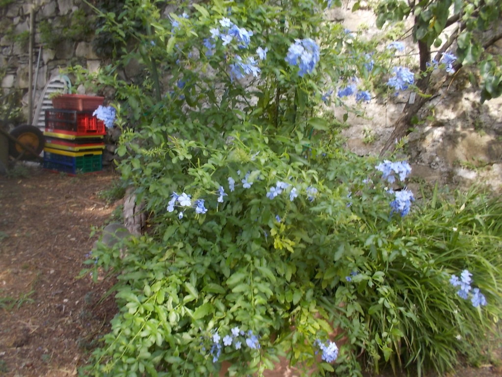 DSCN3764 (FILEminimizer)