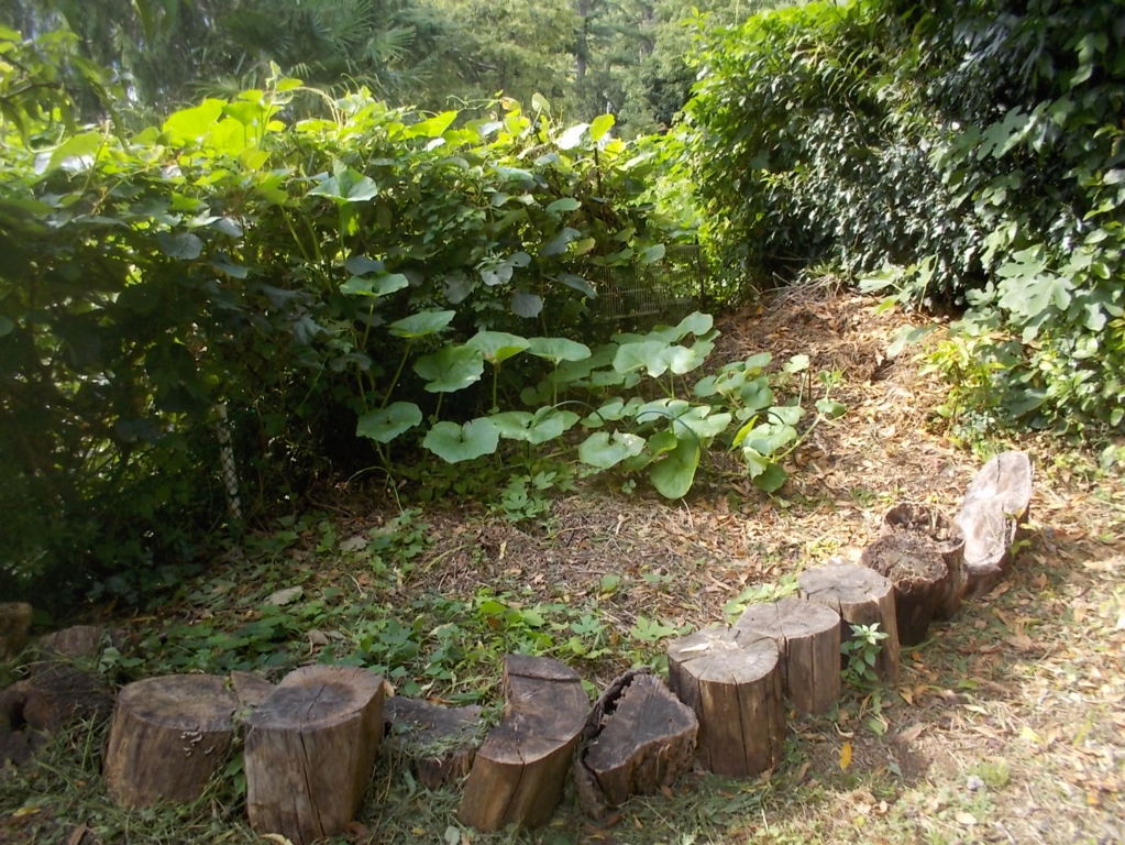 DSCN3766 (FILEminimizer)