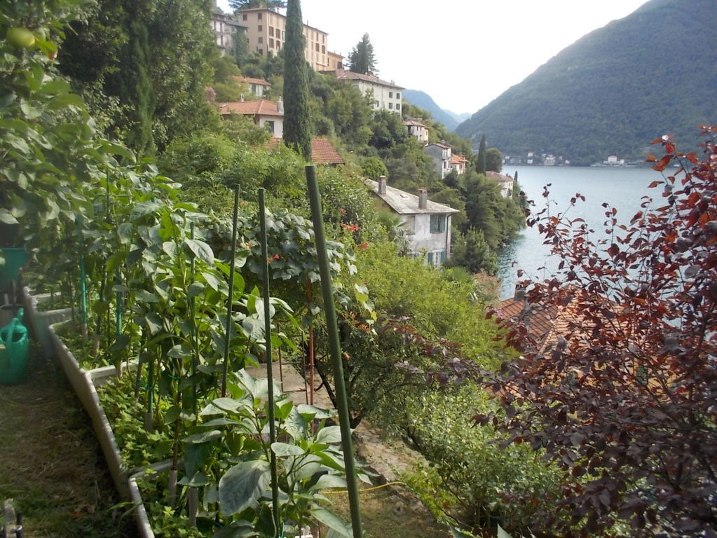 DSCN3767 (FILEminimizer)