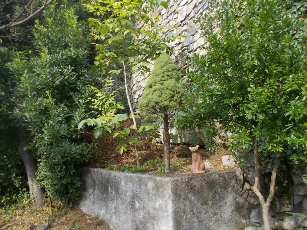 DSCN3768 (FILEminimizer)