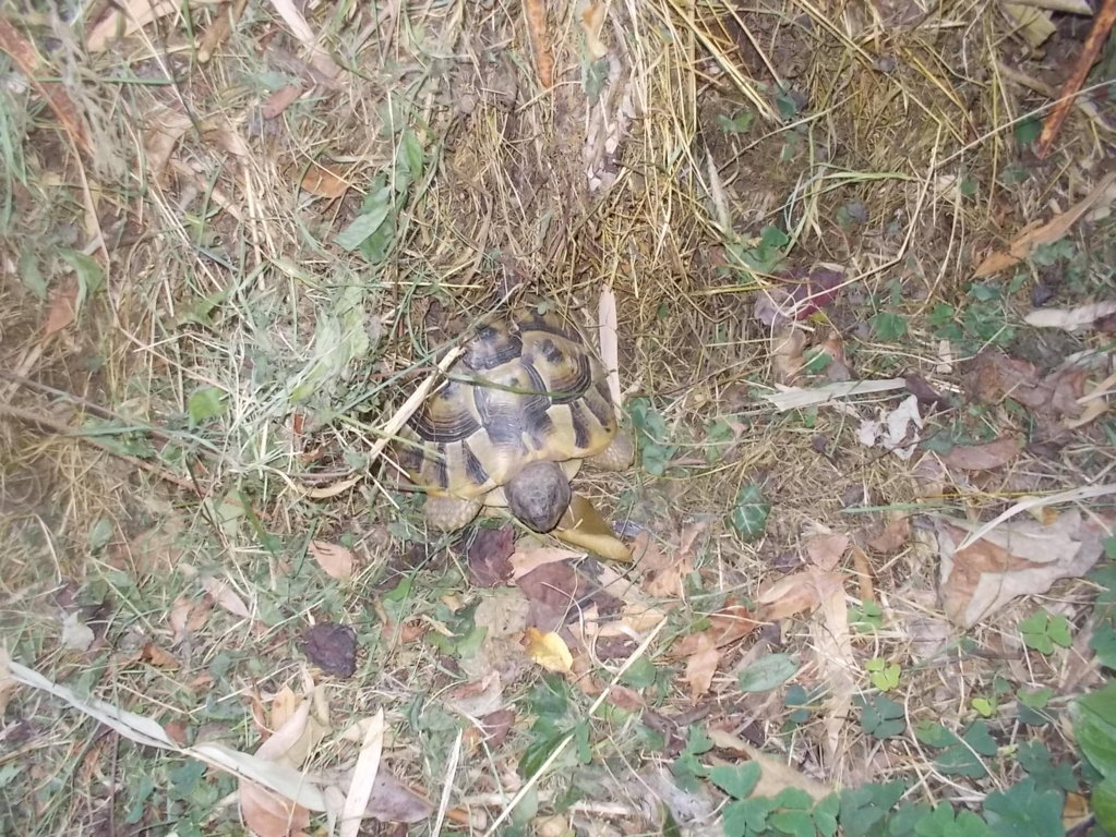 DSCN3769 (FILEminimizer)