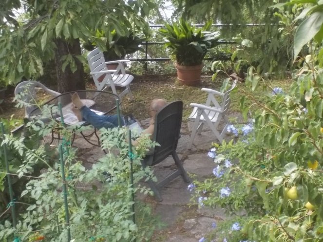 DSCN3770 (FILEminimizer)