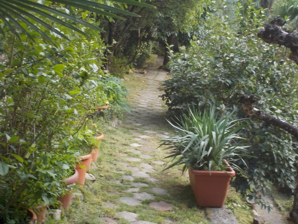 DSCN3771 (FILEminimizer)