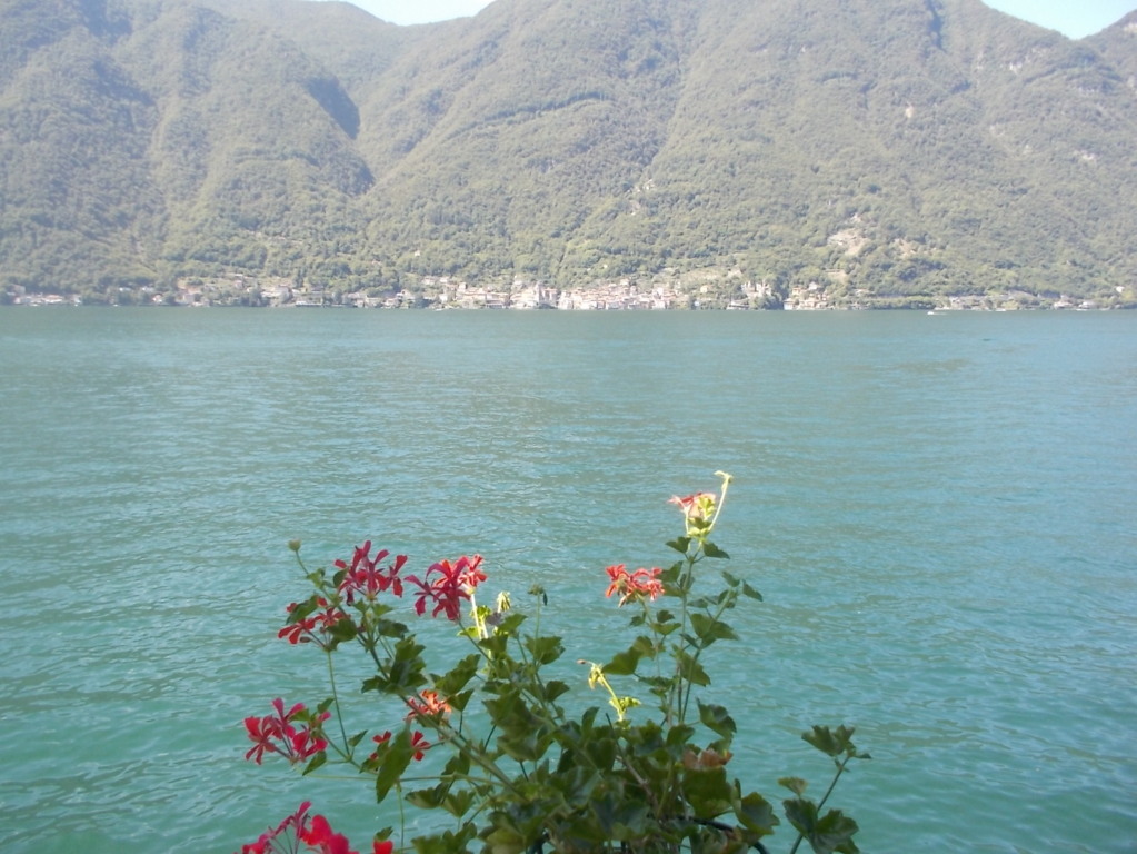 DSCN3778 (FILEminimizer)