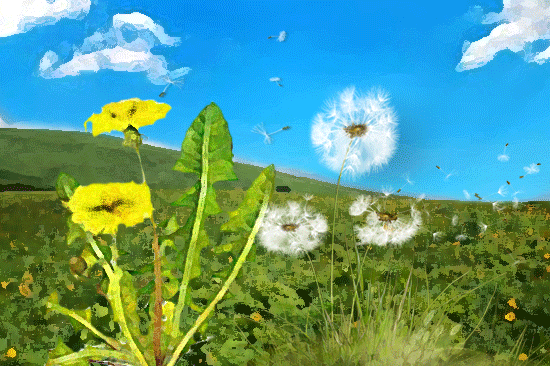 immagine-articolo-Recuperato