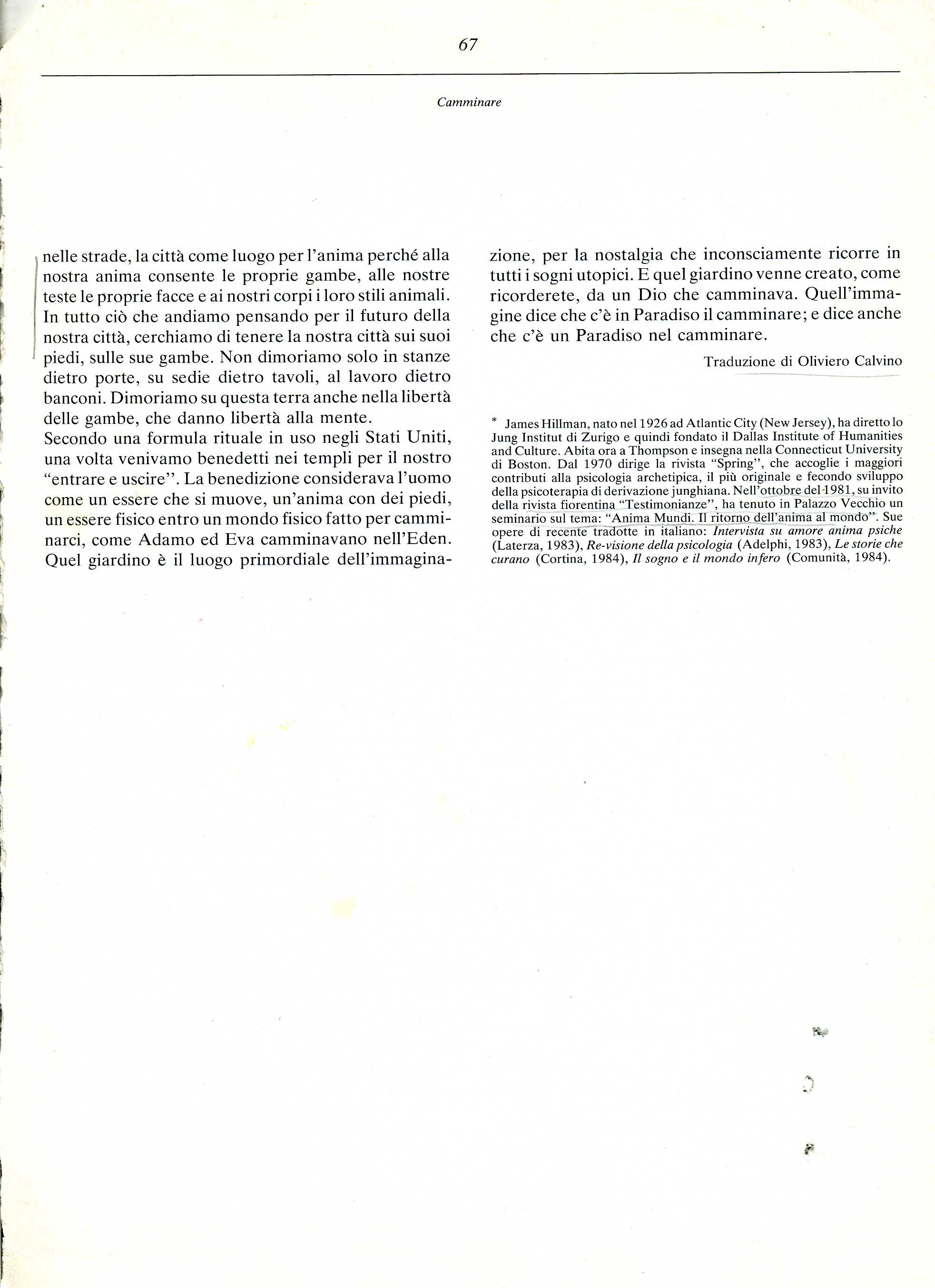 HILLMAM camminare2368