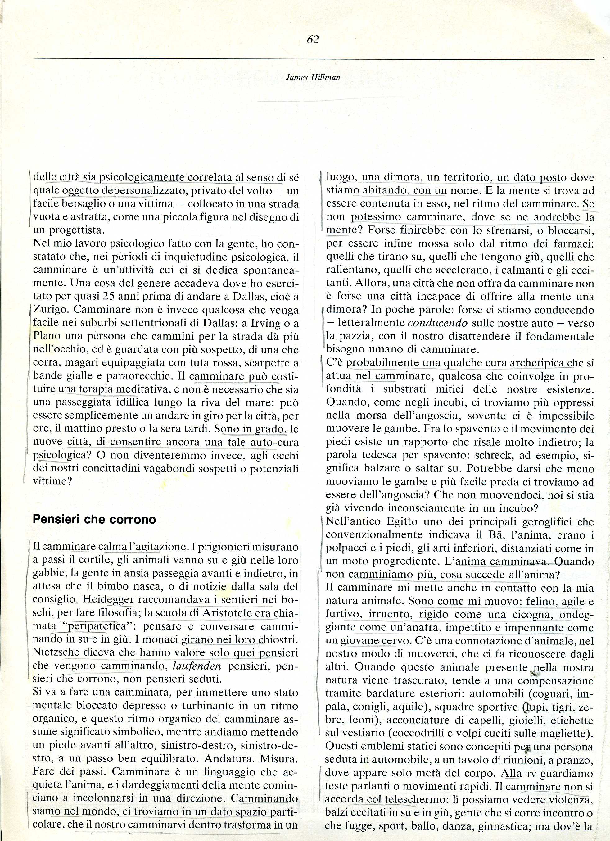 HILLMAM camminare2369