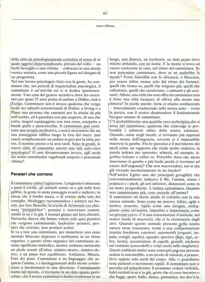 HILLMAM camminare2369