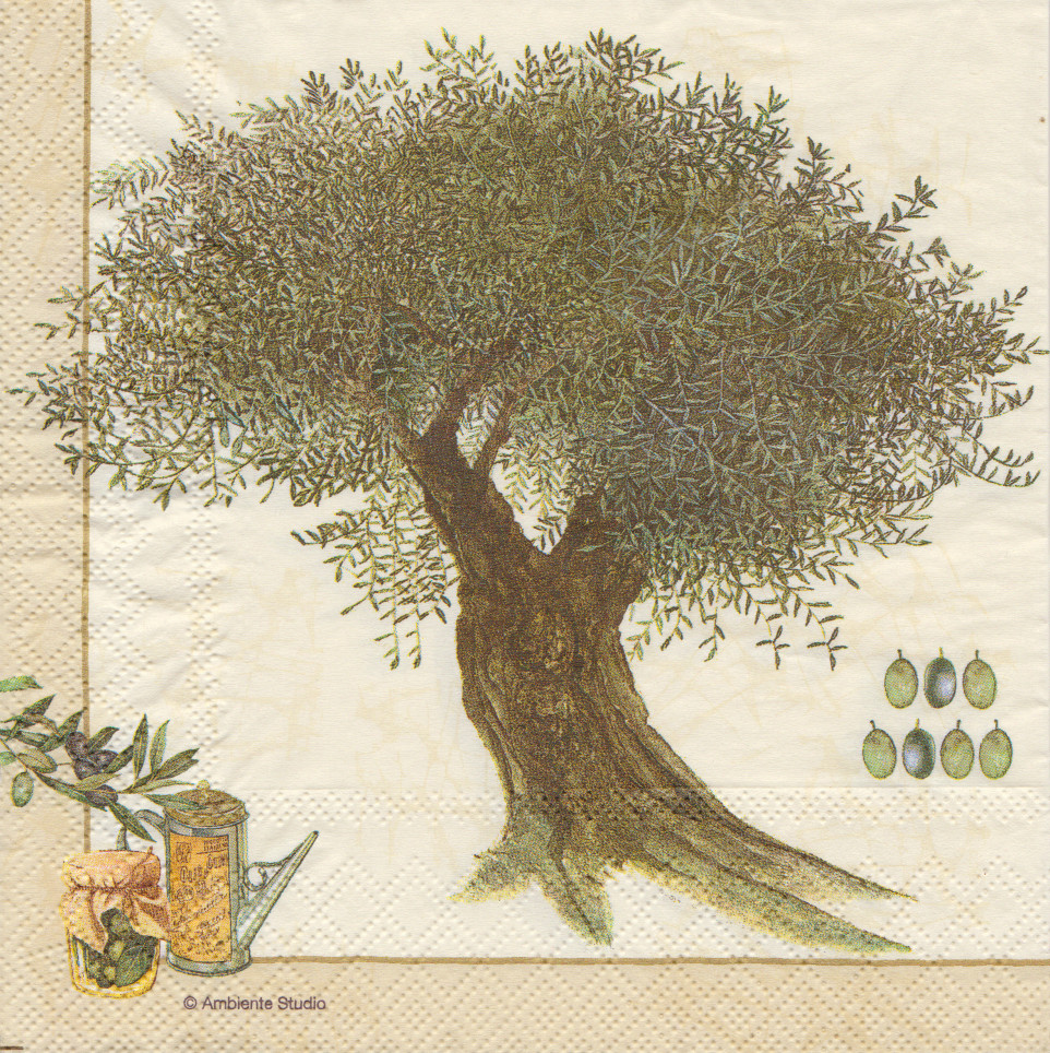 Disegno di un ULIVO, sul fazzoletto – LUOGHI del LARIO e oltre …, image size:962x964