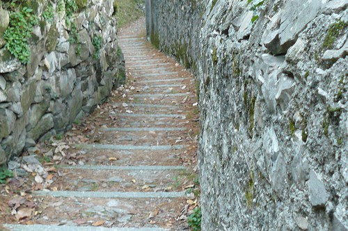 2304608607_5341e5275a