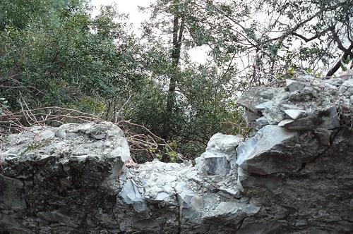 2304610549_9047d2a032